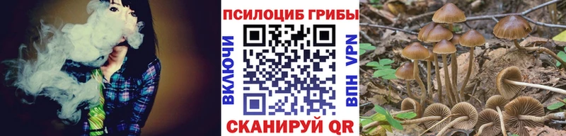Галлюциногенные грибы Psilocybe kraken Можайск наркота