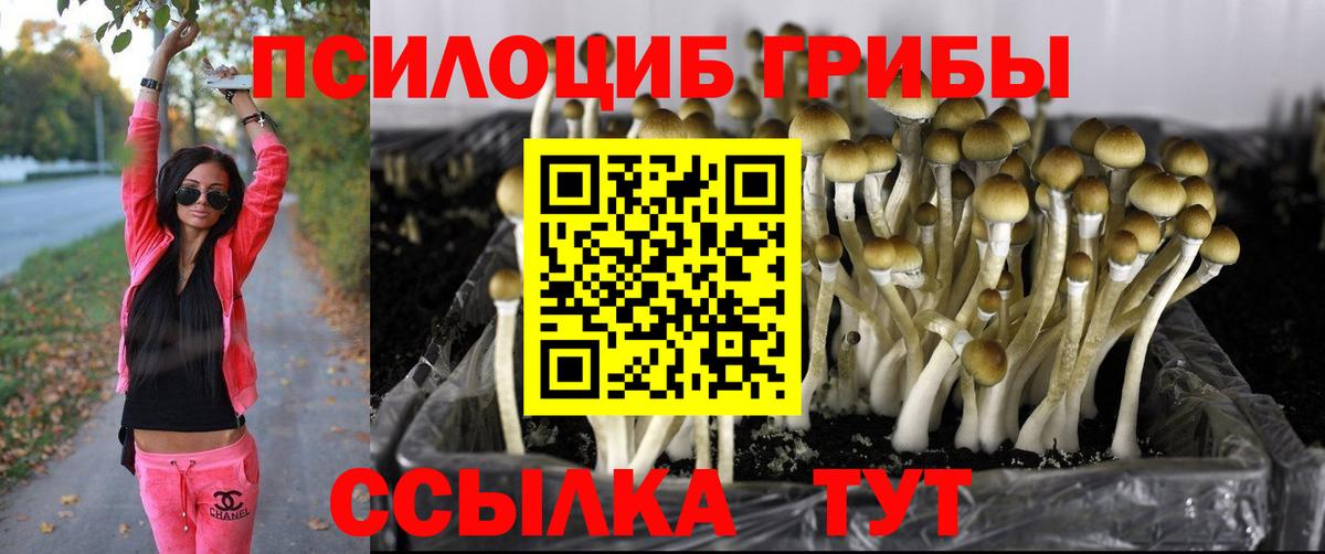 Псилоцибиновые грибы MAGIC MUSHROOMS  Можайск 