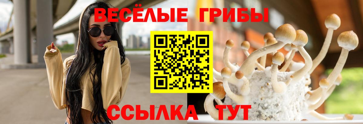 Можайск  Псилоцибиновые грибы MAGIC MUSHROOMS  Галлюциногенные грибы Cubensis  Вход с VPN 
